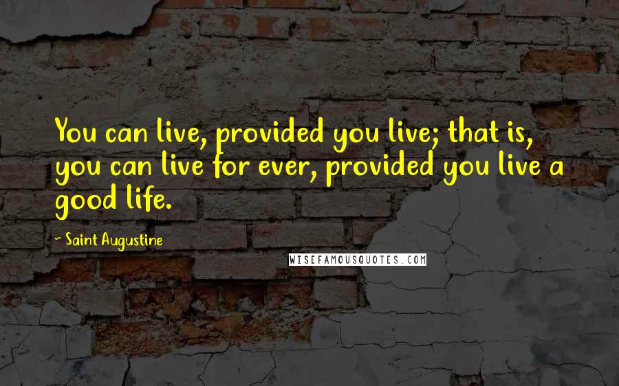 Saint Augustine Quotes: You can live, provided you live; that is, you can live for ever, provided you live a good life.