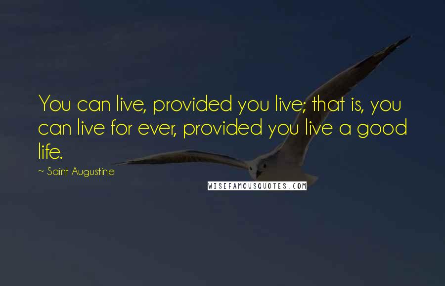 Saint Augustine Quotes: You can live, provided you live; that is, you can live for ever, provided you live a good life.