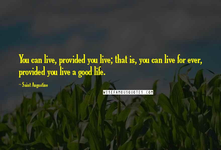 Saint Augustine Quotes: You can live, provided you live; that is, you can live for ever, provided you live a good life.