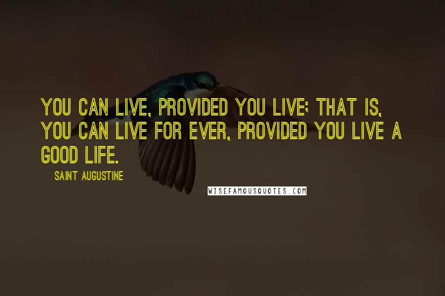 Saint Augustine Quotes: You can live, provided you live; that is, you can live for ever, provided you live a good life.