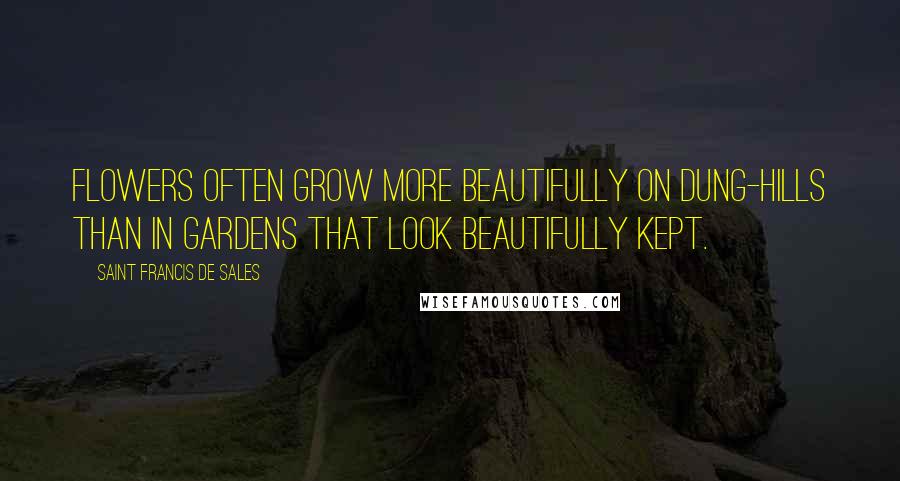 Saint Francis De Sales Quotes: Flowers often grow more beautifully on dung-hills than in gardens that look beautifully kept.