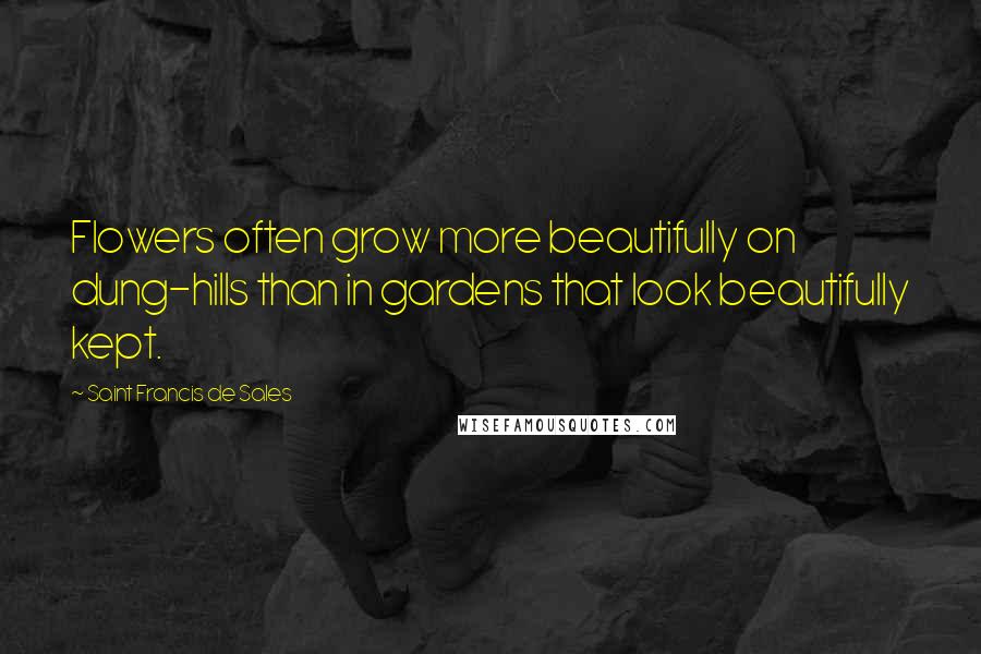 Saint Francis De Sales Quotes: Flowers often grow more beautifully on dung-hills than in gardens that look beautifully kept.