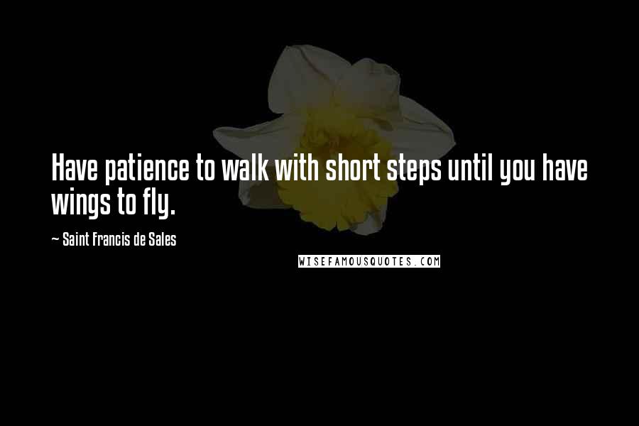 Saint Francis De Sales Quotes: Have patience to walk with short steps until you have wings to fly.