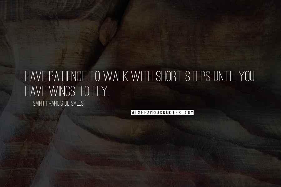 Saint Francis De Sales Quotes: Have patience to walk with short steps until you have wings to fly.