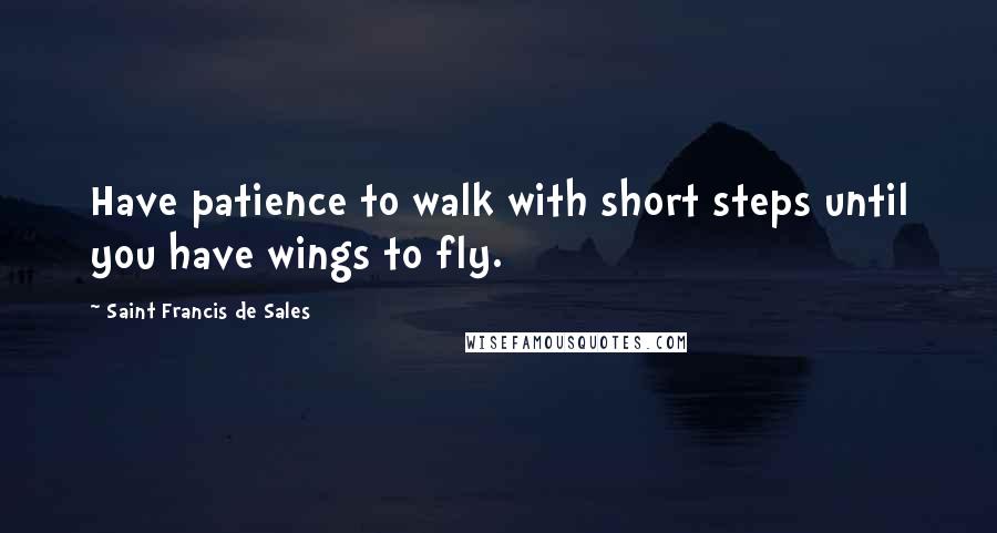 Saint Francis De Sales Quotes: Have patience to walk with short steps until you have wings to fly.