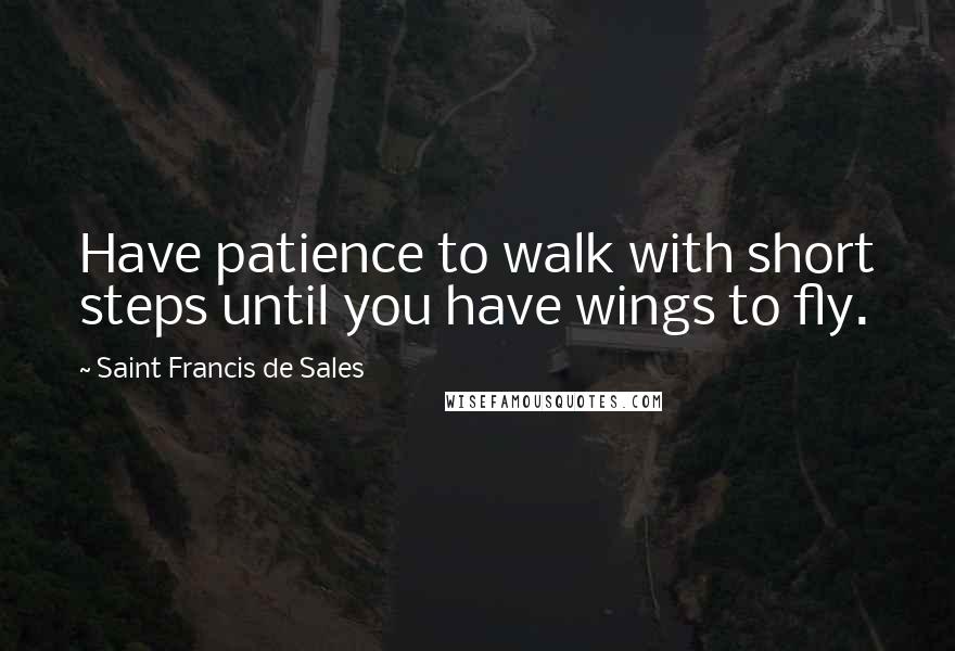 Saint Francis De Sales Quotes: Have patience to walk with short steps until you have wings to fly.
