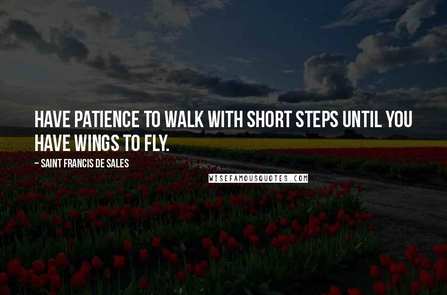 Saint Francis De Sales Quotes: Have patience to walk with short steps until you have wings to fly.