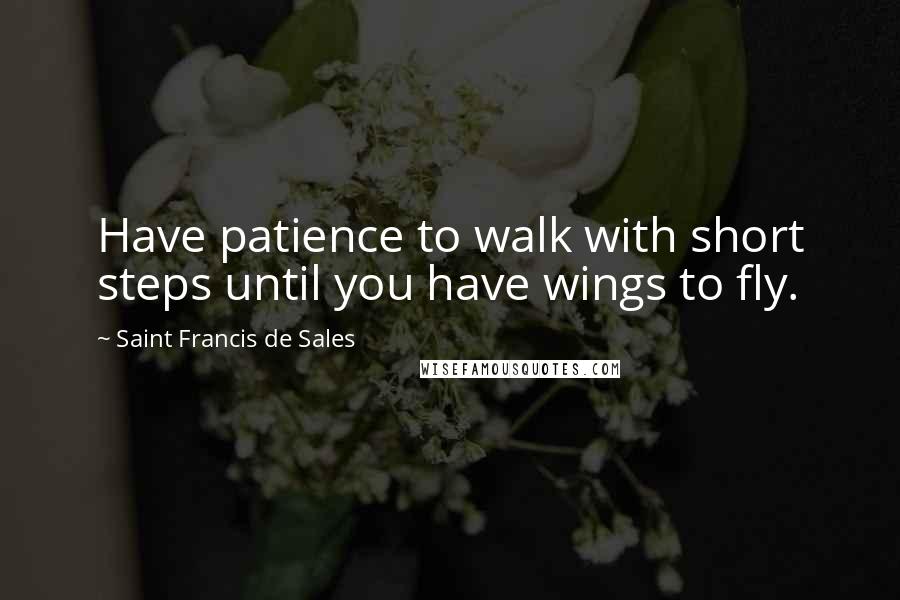 Saint Francis De Sales Quotes: Have patience to walk with short steps until you have wings to fly.