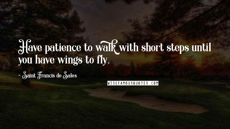 Saint Francis De Sales Quotes: Have patience to walk with short steps until you have wings to fly.