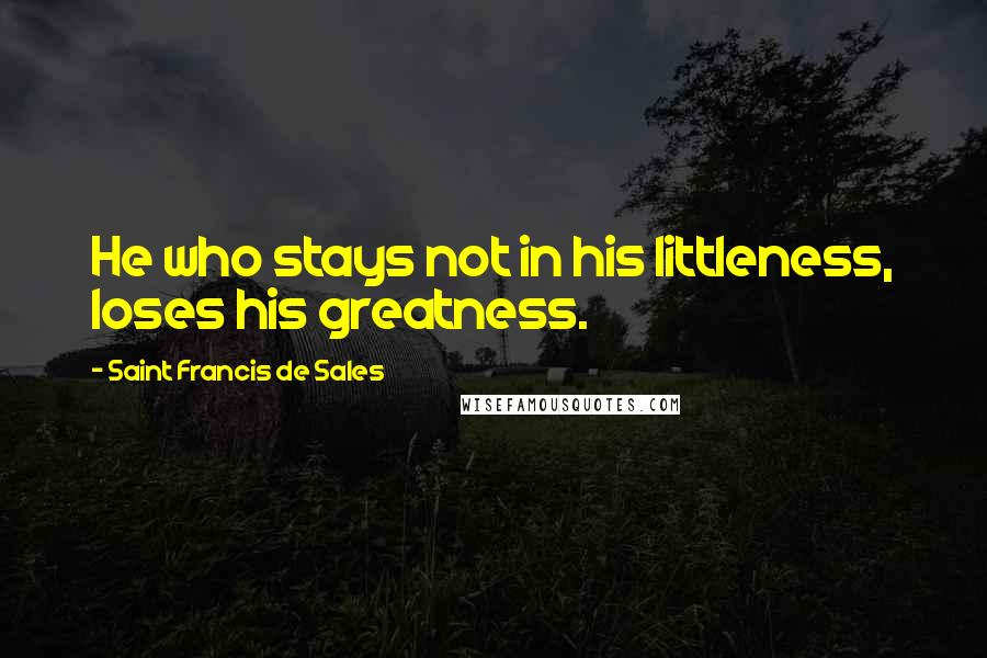 Saint Francis De Sales Quotes: He who stays not in his littleness, loses his greatness.