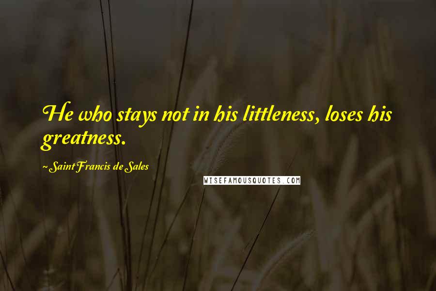 Saint Francis De Sales Quotes: He who stays not in his littleness, loses his greatness.