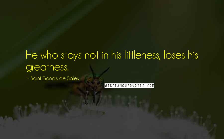 Saint Francis De Sales Quotes: He who stays not in his littleness, loses his greatness.