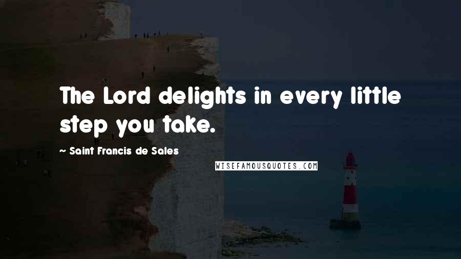 Saint Francis De Sales Quotes: The Lord delights in every little step you take.
