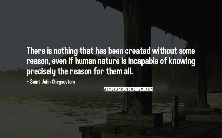 Saint John Chrysostom Quotes: There is nothing that has been created without some reason, even if human nature is incapable of knowing precisely the reason for them all.