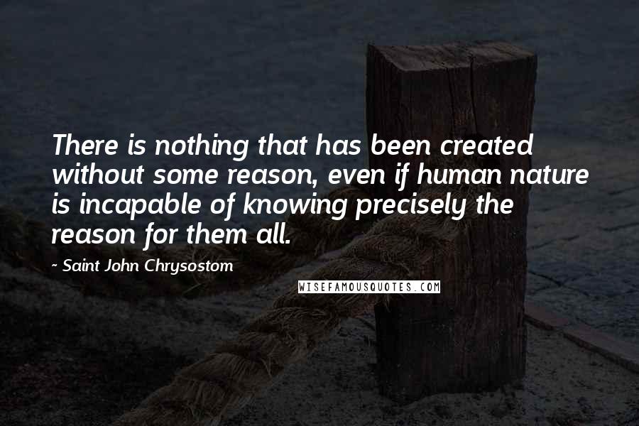 Saint John Chrysostom Quotes: There is nothing that has been created without some reason, even if human nature is incapable of knowing precisely the reason for them all.