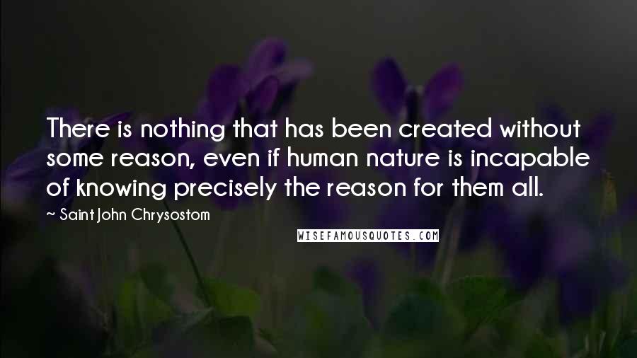 Saint John Chrysostom Quotes: There is nothing that has been created without some reason, even if human nature is incapable of knowing precisely the reason for them all.