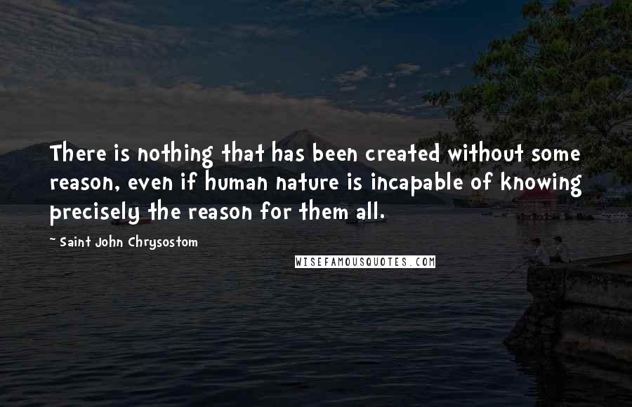 Saint John Chrysostom Quotes: There is nothing that has been created without some reason, even if human nature is incapable of knowing precisely the reason for them all.