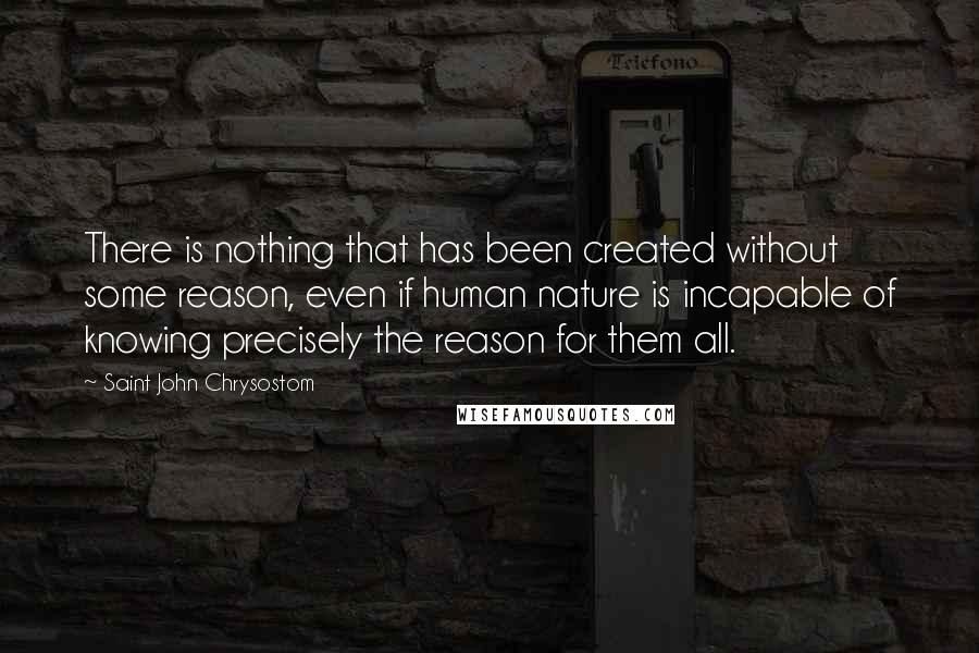 Saint John Chrysostom Quotes: There is nothing that has been created without some reason, even if human nature is incapable of knowing precisely the reason for them all.