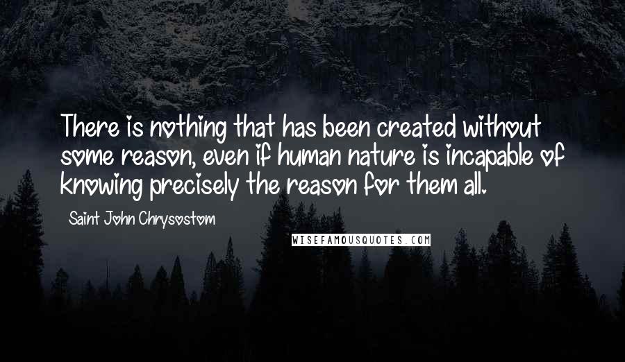 Saint John Chrysostom Quotes: There is nothing that has been created without some reason, even if human nature is incapable of knowing precisely the reason for them all.