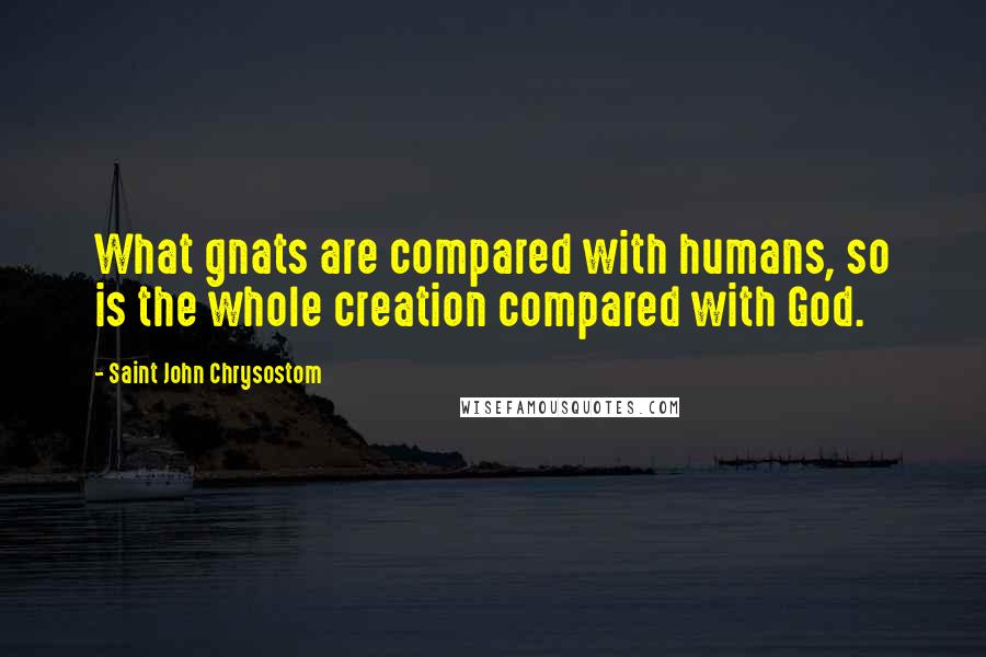 Saint John Chrysostom Quotes: What gnats are compared with humans, so is the whole creation compared with God.