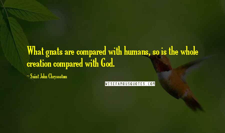 Saint John Chrysostom Quotes: What gnats are compared with humans, so is the whole creation compared with God.