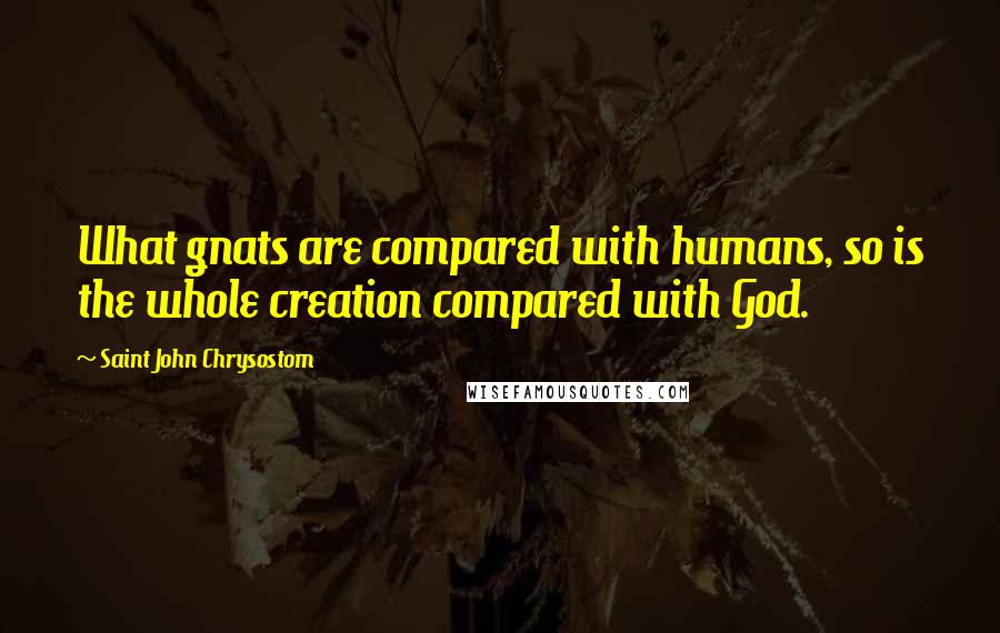 Saint John Chrysostom Quotes: What gnats are compared with humans, so is the whole creation compared with God.