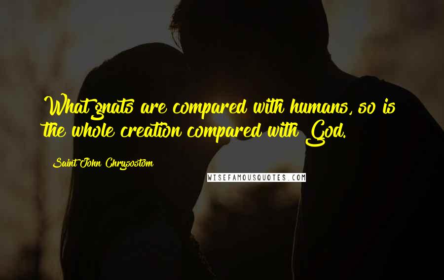 Saint John Chrysostom Quotes: What gnats are compared with humans, so is the whole creation compared with God.