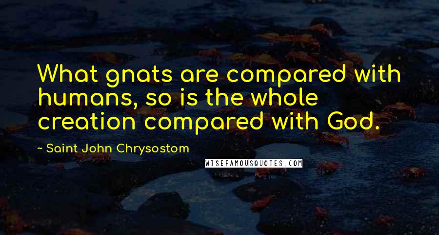 Saint John Chrysostom Quotes: What gnats are compared with humans, so is the whole creation compared with God.