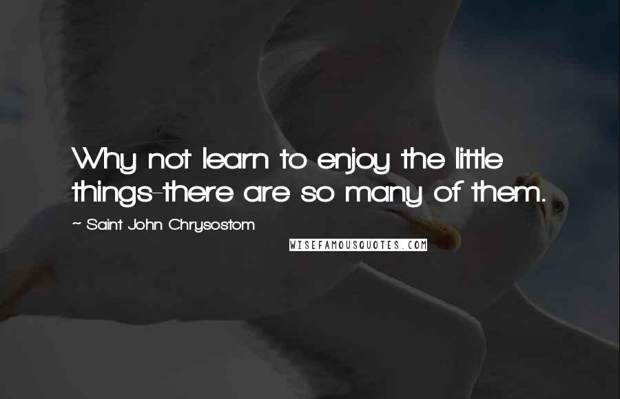 Saint John Chrysostom Quotes: Why not learn to enjoy the little things-there are so many of them.