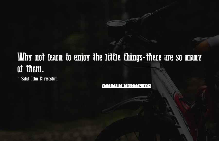 Saint John Chrysostom Quotes: Why not learn to enjoy the little things-there are so many of them.