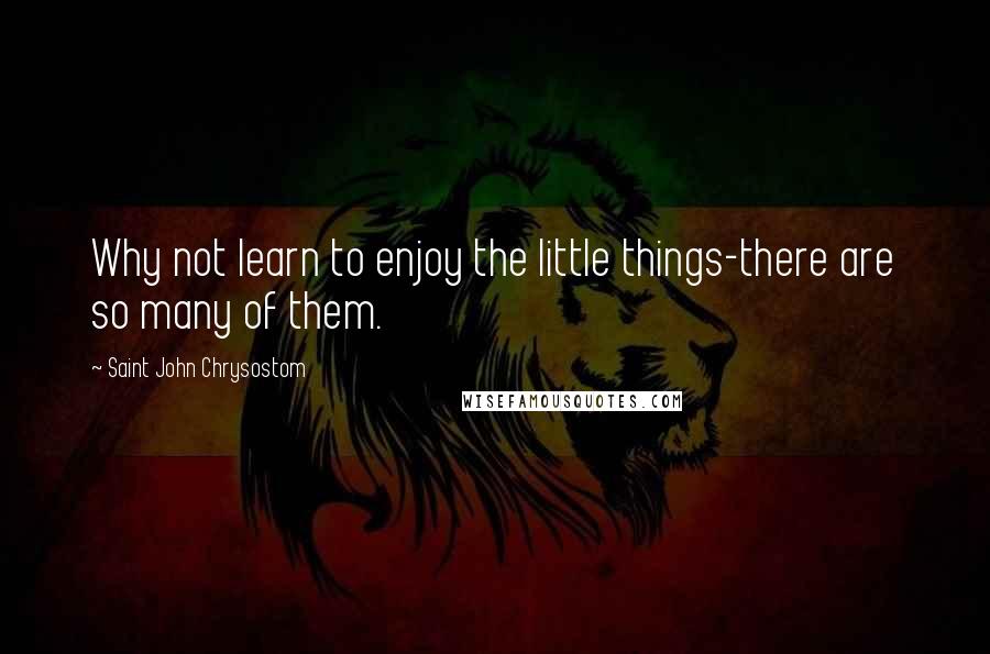 Saint John Chrysostom Quotes: Why not learn to enjoy the little things-there are so many of them.