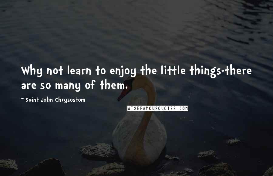 Saint John Chrysostom Quotes: Why not learn to enjoy the little things-there are so many of them.