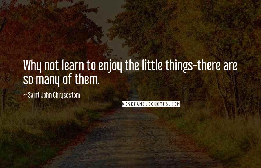 Saint John Chrysostom Quotes: Why not learn to enjoy the little things-there are so many of them.