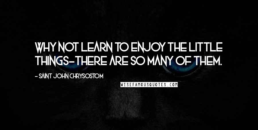 Saint John Chrysostom Quotes: Why not learn to enjoy the little things-there are so many of them.