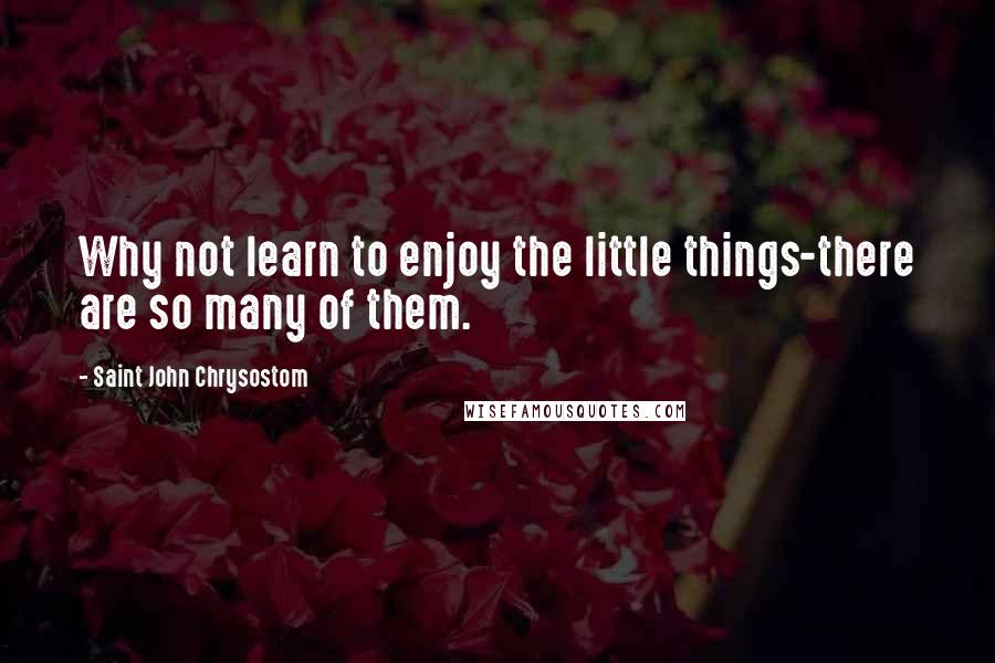 Saint John Chrysostom Quotes: Why not learn to enjoy the little things-there are so many of them.