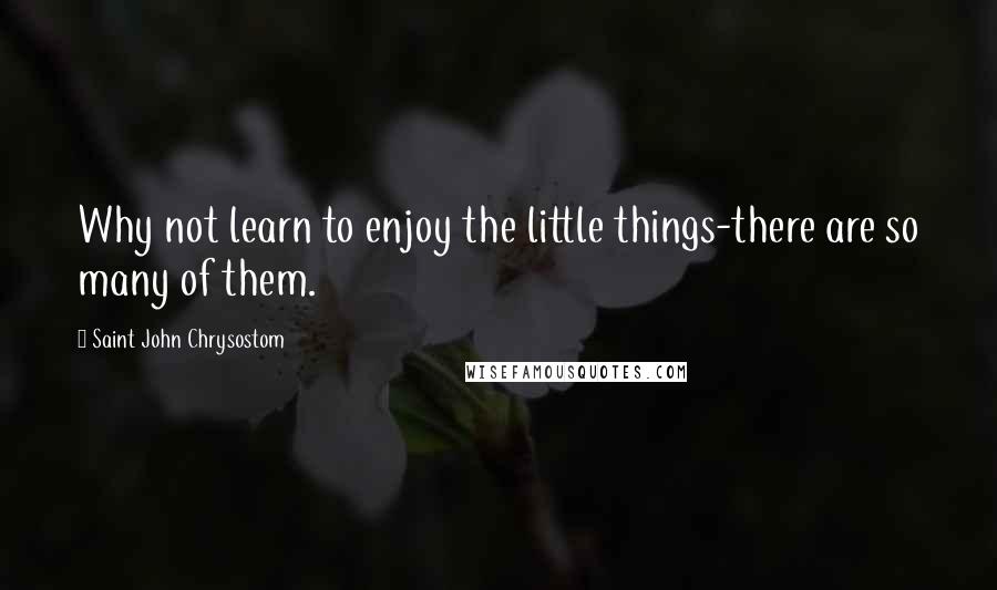 Saint John Chrysostom Quotes: Why not learn to enjoy the little things-there are so many of them.