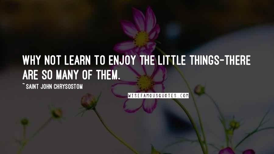 Saint John Chrysostom Quotes: Why not learn to enjoy the little things-there are so many of them.