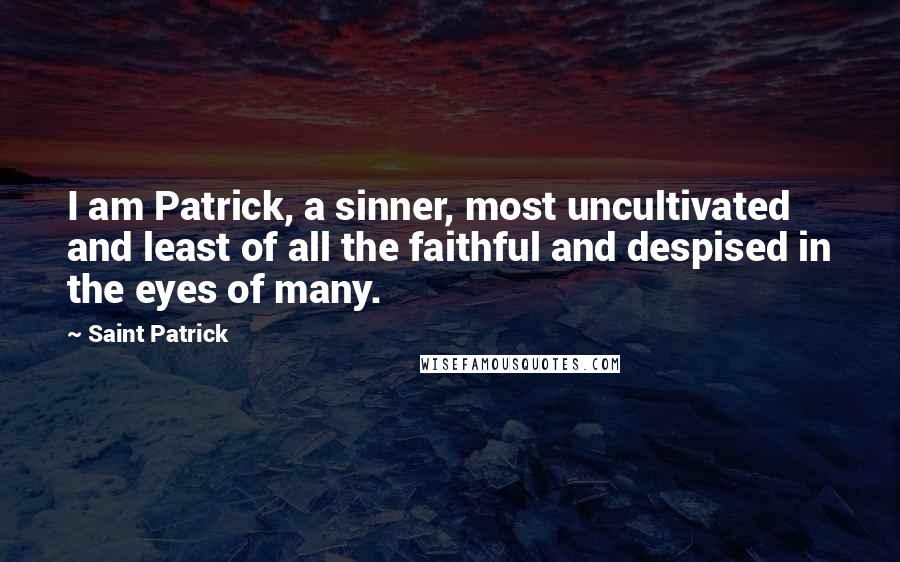 Saint Patrick Quotes: I am Patrick, a sinner, most uncultivated and least of all the faithful and despised in the eyes of many.