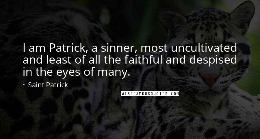 Saint Patrick Quotes: I am Patrick, a sinner, most uncultivated and least of all the faithful and despised in the eyes of many.