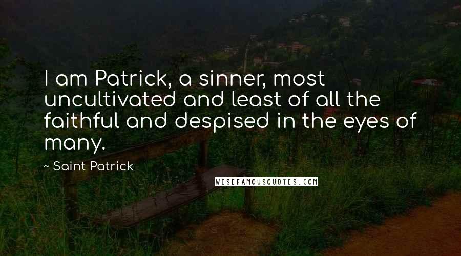 Saint Patrick Quotes: I am Patrick, a sinner, most uncultivated and least of all the faithful and despised in the eyes of many.