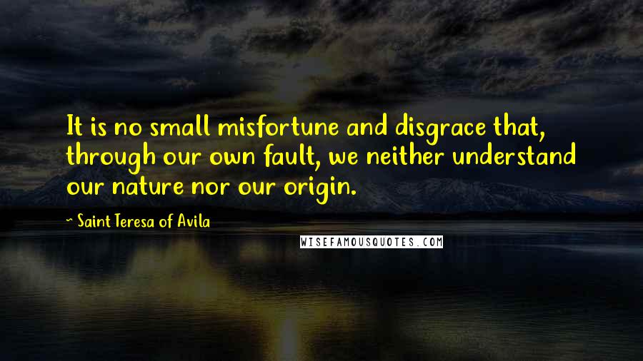 Saint Teresa Of Avila Quotes: It is no small misfortune and disgrace that, through our own fault, we neither understand our nature nor our origin.
