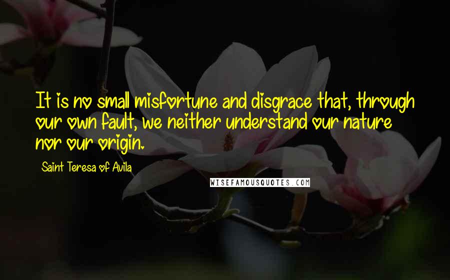Saint Teresa Of Avila Quotes: It is no small misfortune and disgrace that, through our own fault, we neither understand our nature nor our origin.