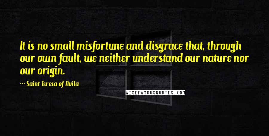Saint Teresa Of Avila Quotes: It is no small misfortune and disgrace that, through our own fault, we neither understand our nature nor our origin.