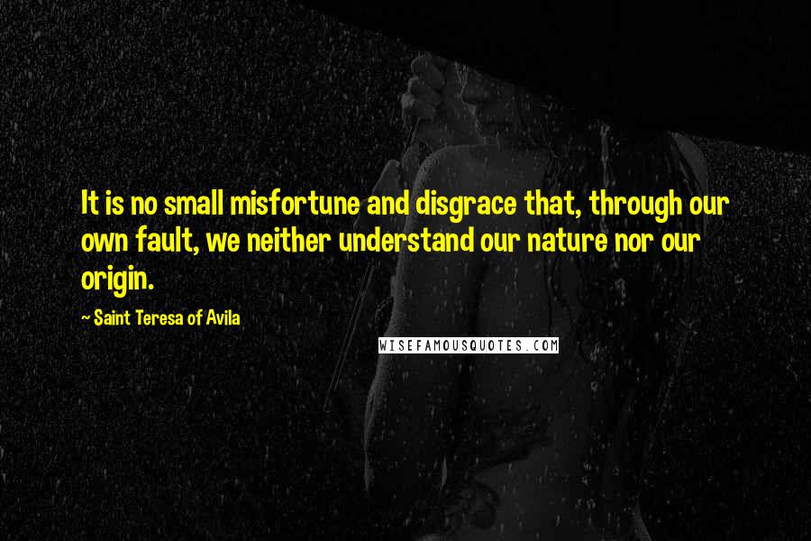 Saint Teresa Of Avila Quotes: It is no small misfortune and disgrace that, through our own fault, we neither understand our nature nor our origin.