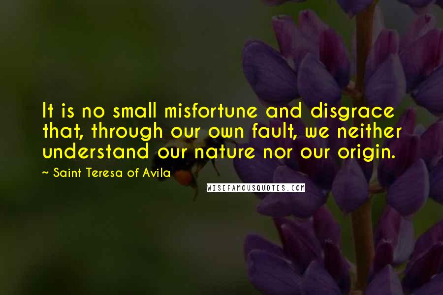 Saint Teresa Of Avila Quotes: It is no small misfortune and disgrace that, through our own fault, we neither understand our nature nor our origin.