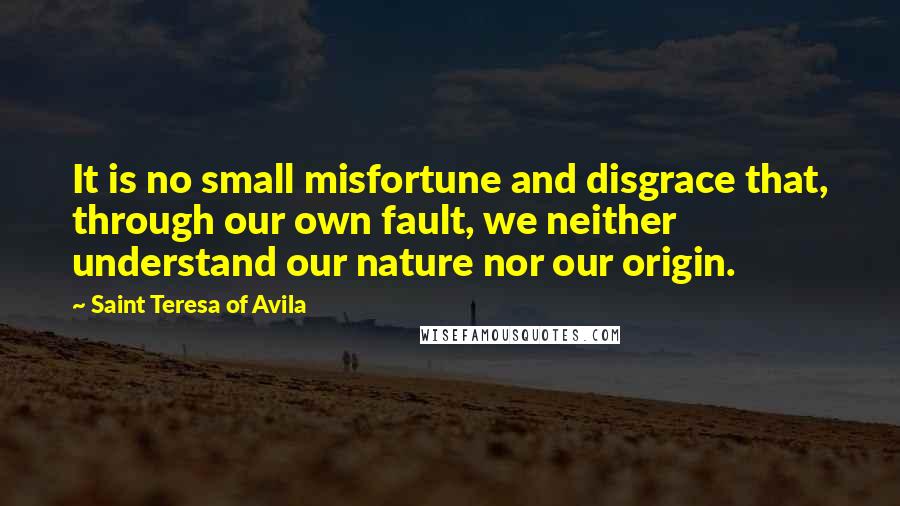 Saint Teresa Of Avila Quotes: It is no small misfortune and disgrace that, through our own fault, we neither understand our nature nor our origin.