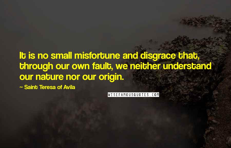 Saint Teresa Of Avila Quotes: It is no small misfortune and disgrace that, through our own fault, we neither understand our nature nor our origin.