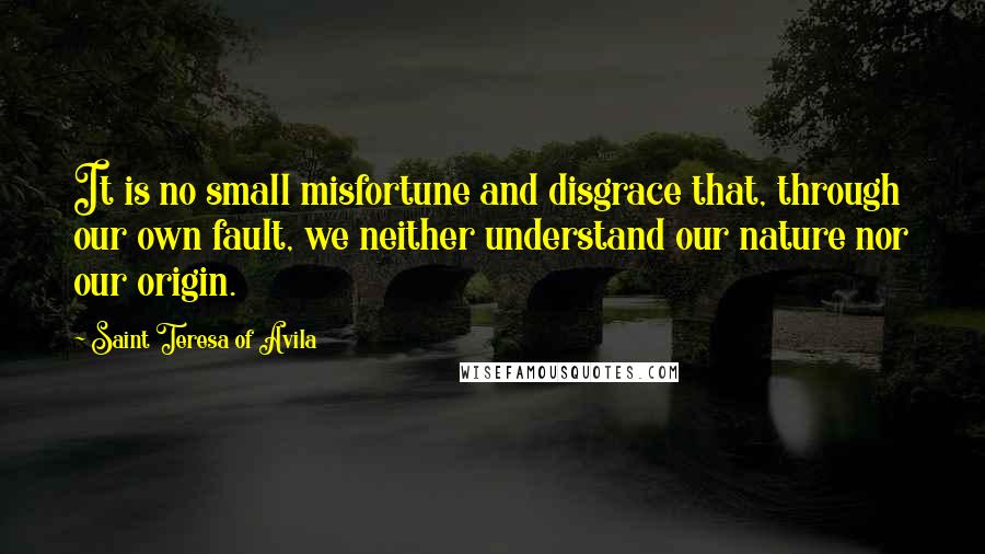 Saint Teresa Of Avila Quotes: It is no small misfortune and disgrace that, through our own fault, we neither understand our nature nor our origin.