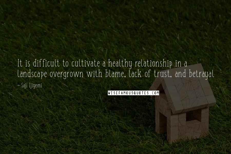 Saji Ijiyemi Quotes: It is difficult to cultivate a healthy relationship in a landscape overgrown with blame, lack of trust, and betrayal
