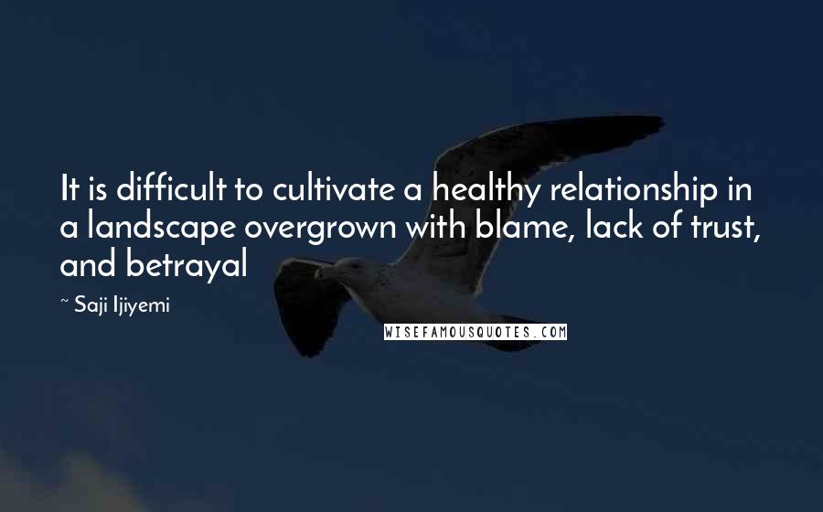 Saji Ijiyemi Quotes: It is difficult to cultivate a healthy relationship in a landscape overgrown with blame, lack of trust, and betrayal
